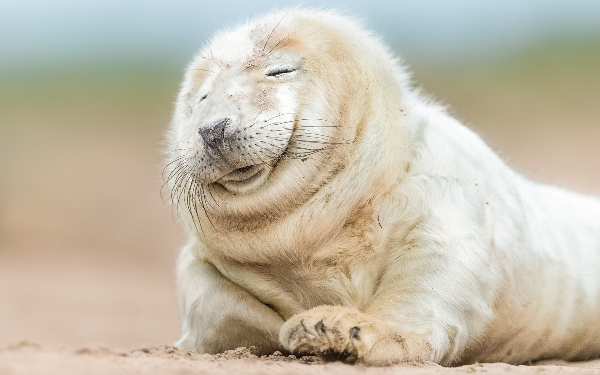 开云体育官方网入口-NBA新规则上线：挑战失败扣暂停次数，nba挑战判罚有几次