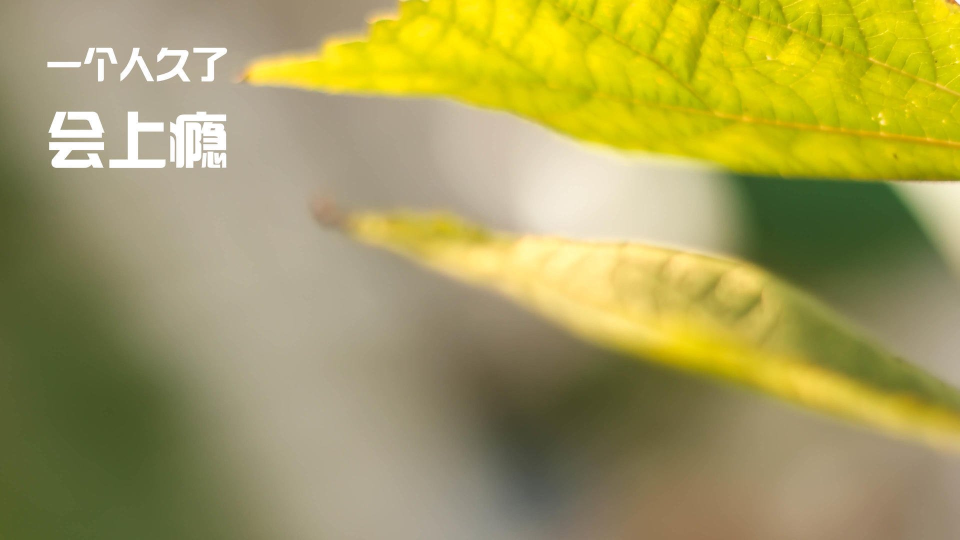 开云官网登录-_涵盖多项运动的多元竞技节：网球+射箭+跑酷_，seedsports网球运动