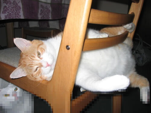 开云体育APP下载-“中超赛场新规实施，提升比赛公平性”，中超赛场要求