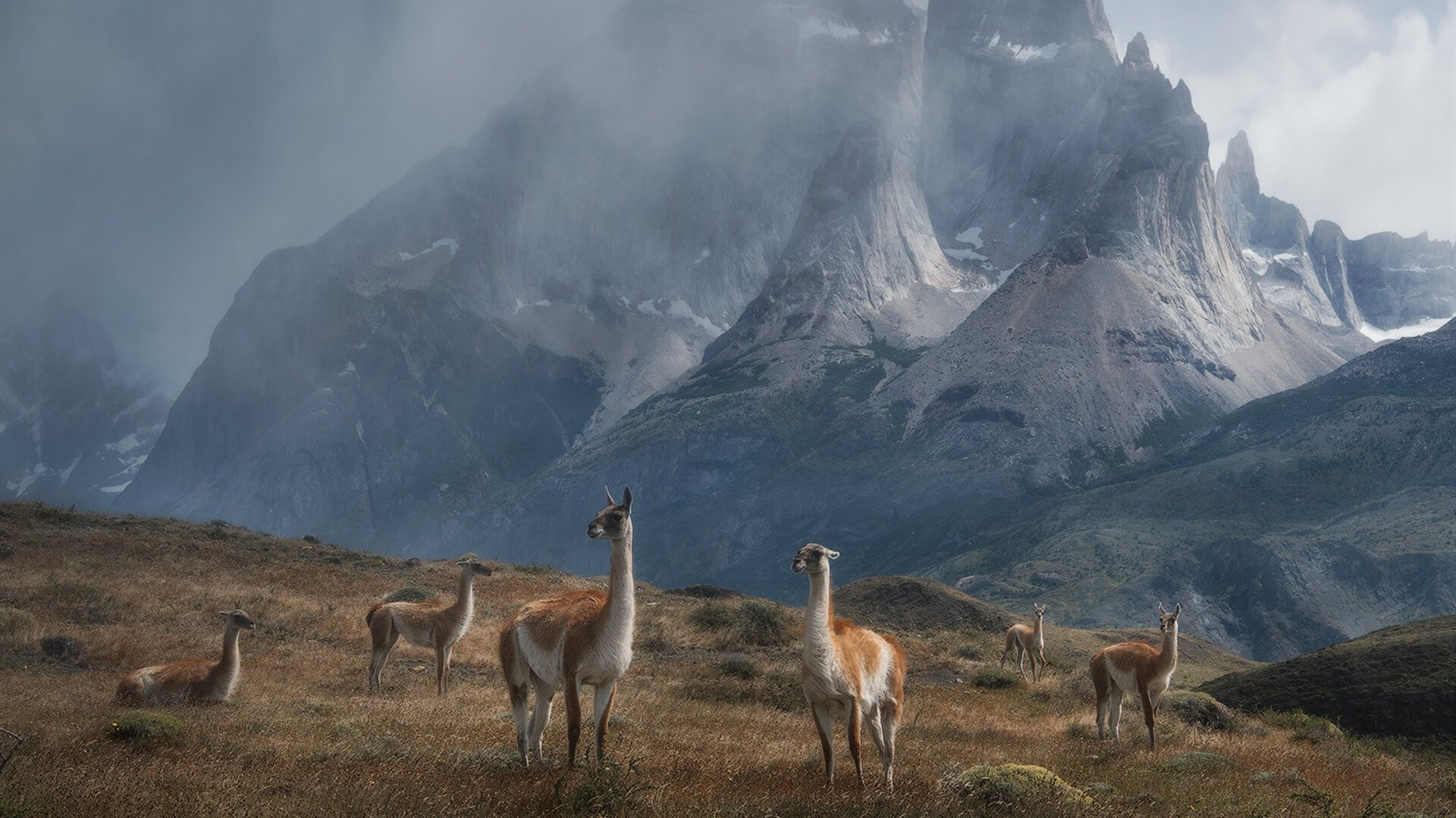 开云kaiyun-“双雄争霸”：两大豪门的巅峰对决，双雄争霸电影