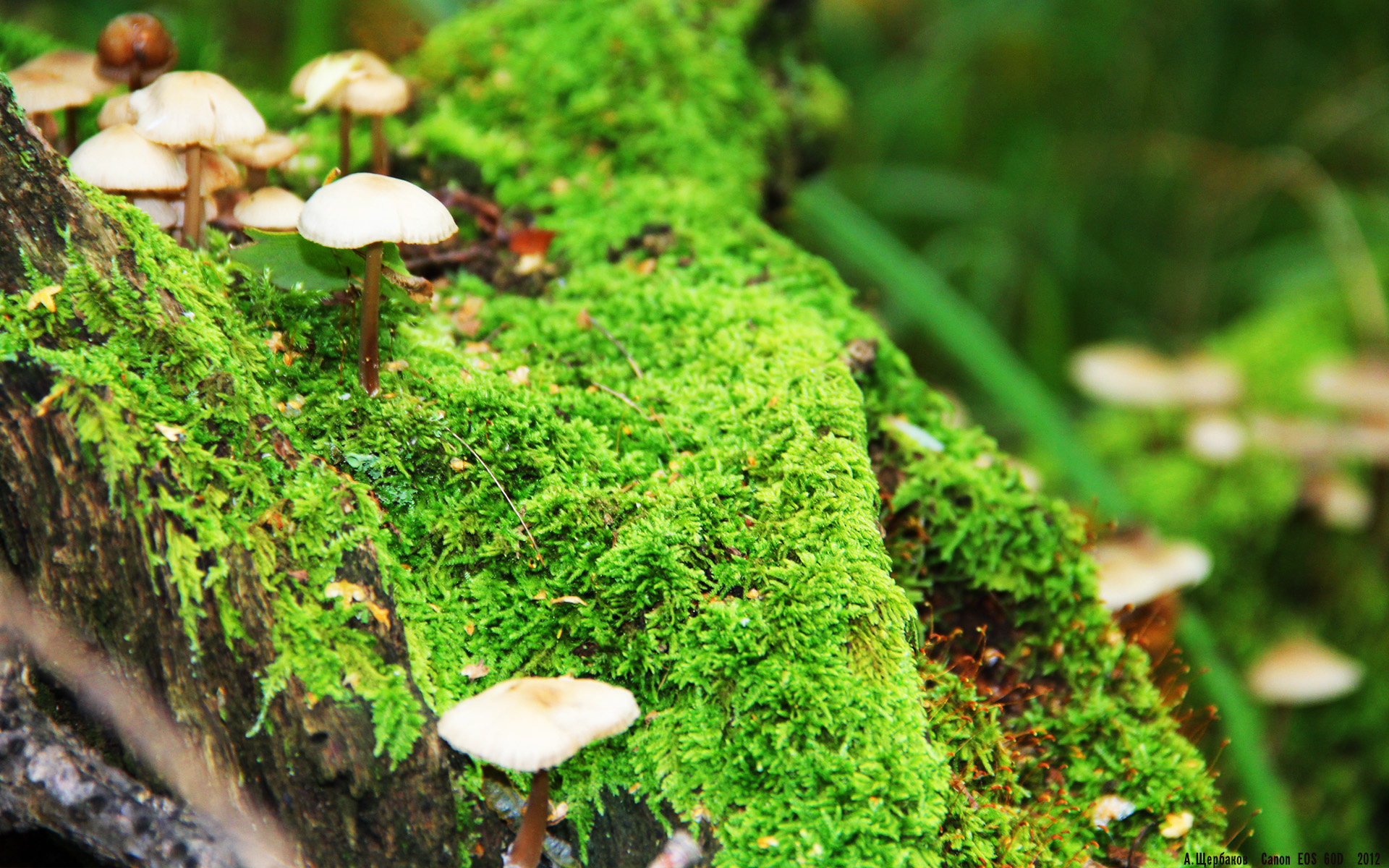 开云体育在线赛事直播-“西甲焦点：豪门鏖战，积分榜竞争激烈”，西甲豪门有哪些