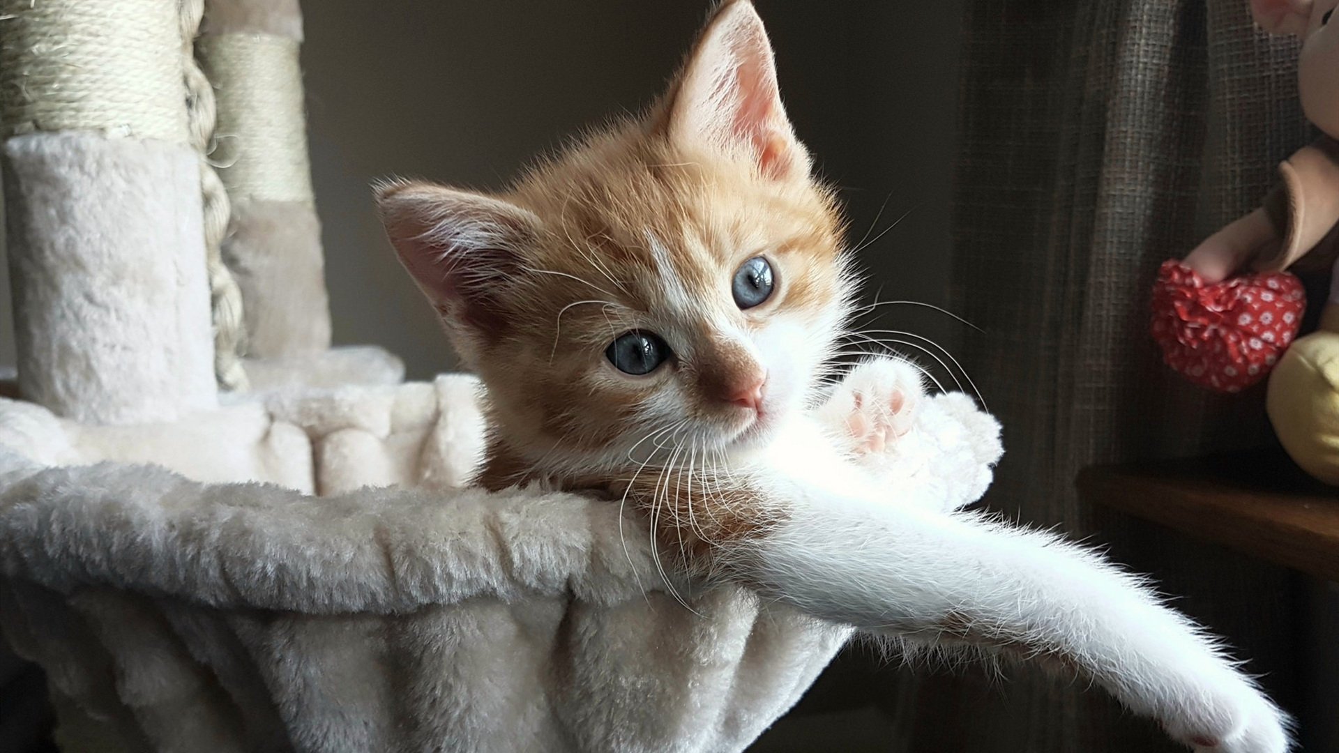 开云官网登录-“西甲焦点：明星集结，场面火爆无比”，西甲联赛球星