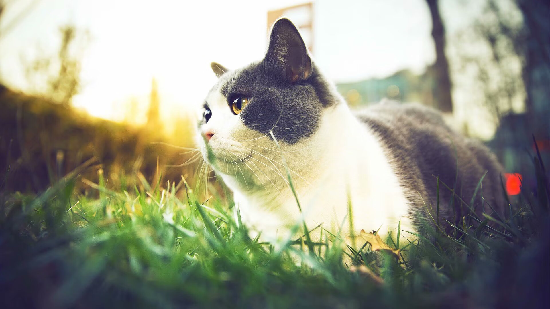 Kaiyun APP-“逆境突围：极端天气下的英雄时刻”，逆境中突围