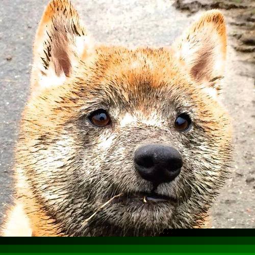 开云网页版登录入口-【团队配合】场上合作战术如何赢得比赛，团队上场方式