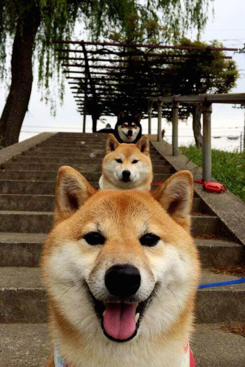 开云网页版-摩洛哥队主帅强调保持比赛节奏，摩洛哥队主教练