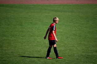 开云入口-世界拳击青年赛中国选手勇夺金腰带，世界拳击表演赛