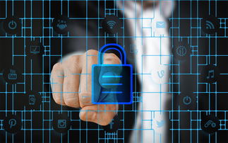 kaiyun 开云体育-体育特许经营管理制度构建与案例研究，体育行业特有职业培训试点单位