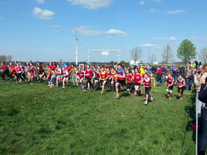 开云网页版-青少年体育活动参与动力分析，青少年的体育活动