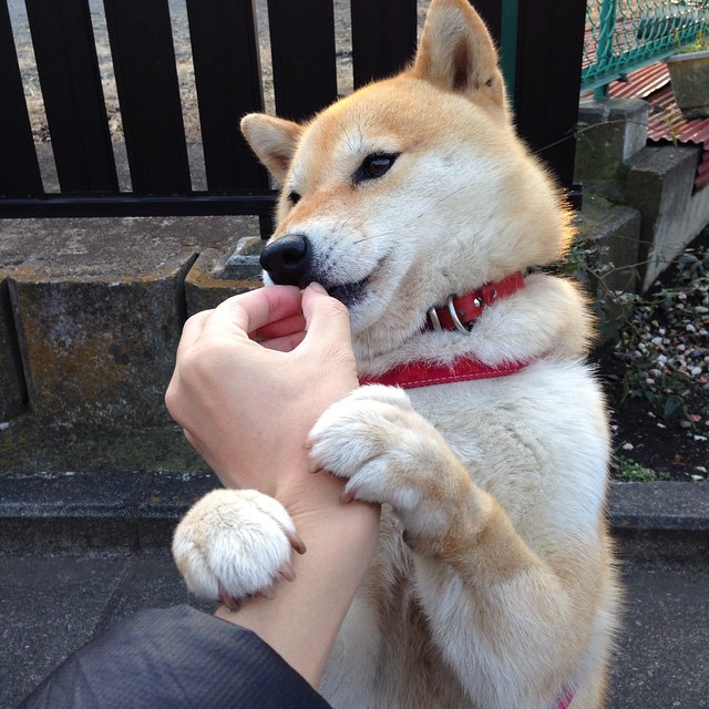 Kaiyun(中国)开云-中国男篮热身赛表现可圈可点，中国男篮赛前热身