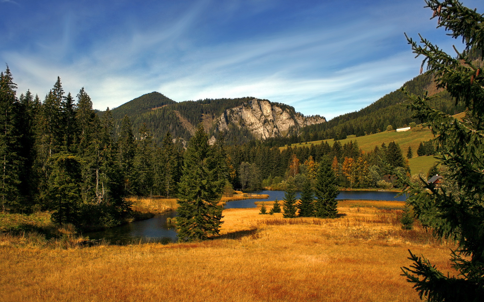 开云官方-恩波利防守压迫性增强控制比赛节奏，恩波利亚