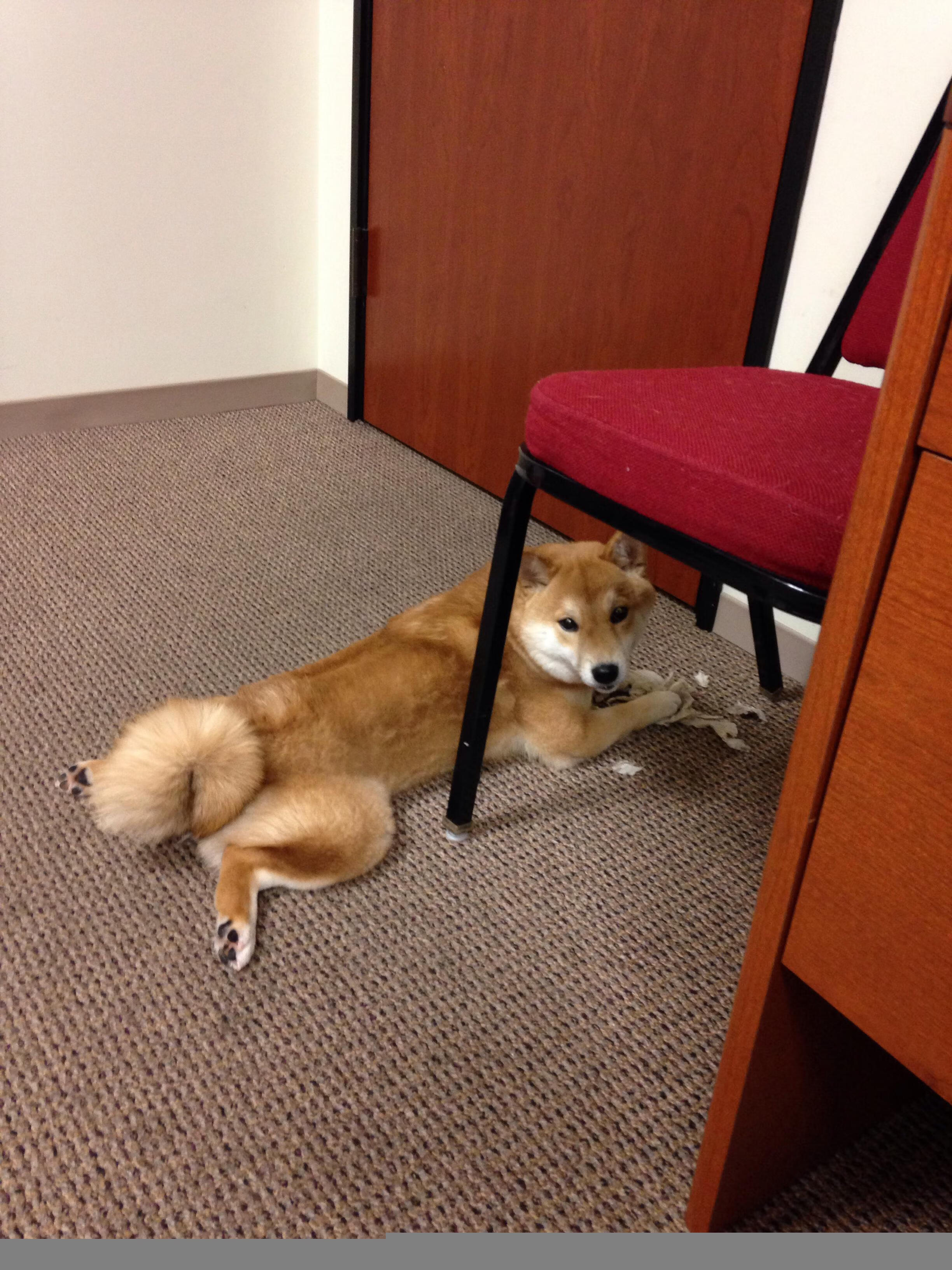 Kaiyun APP-意甲快攻突击：瞬间破门，激情澎湃！，意甲高能7秒