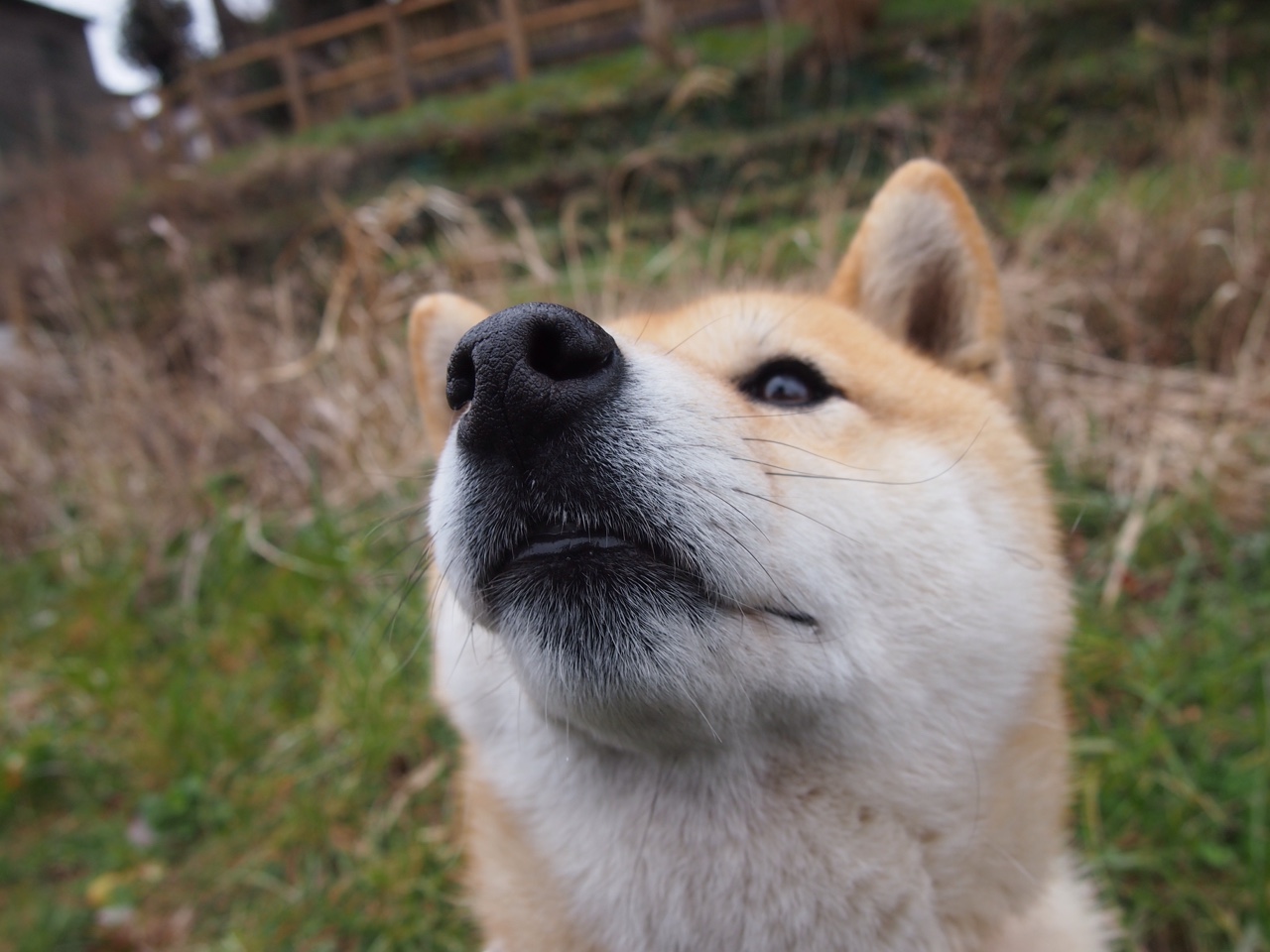 开云·体育全站登录地址-球队连续零封对手防守体系日趋成熟赢得媒体高度评价，足球零封什么意思