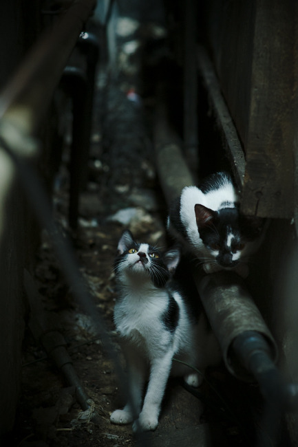 开云网页版-球员在赛后发布感谢信向球迷表达敬意传递正能量情感，感谢球员辛苦付出的话